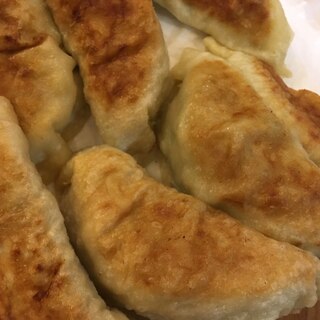 シャキシャキ餃子